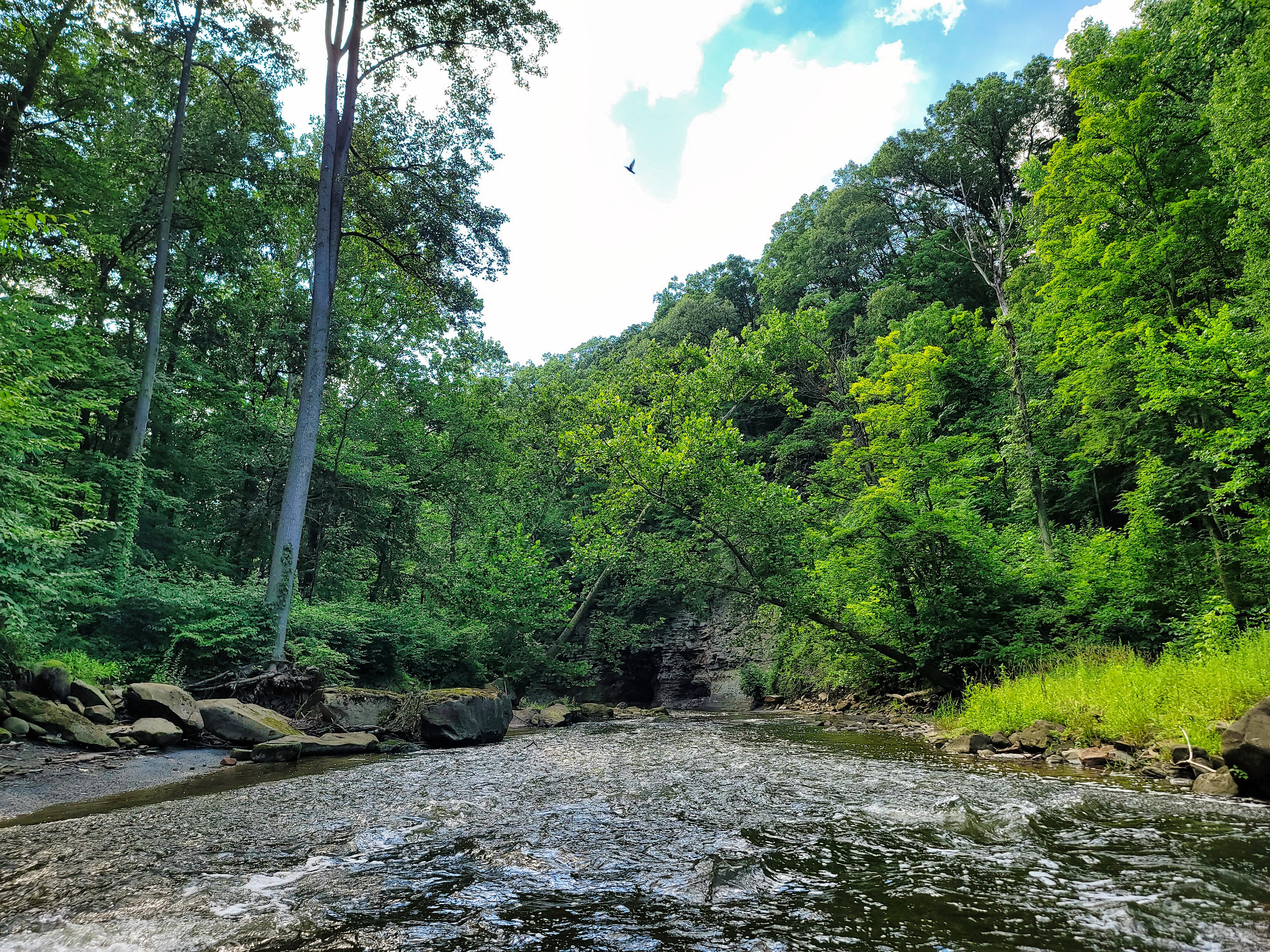 Bedford Reservation