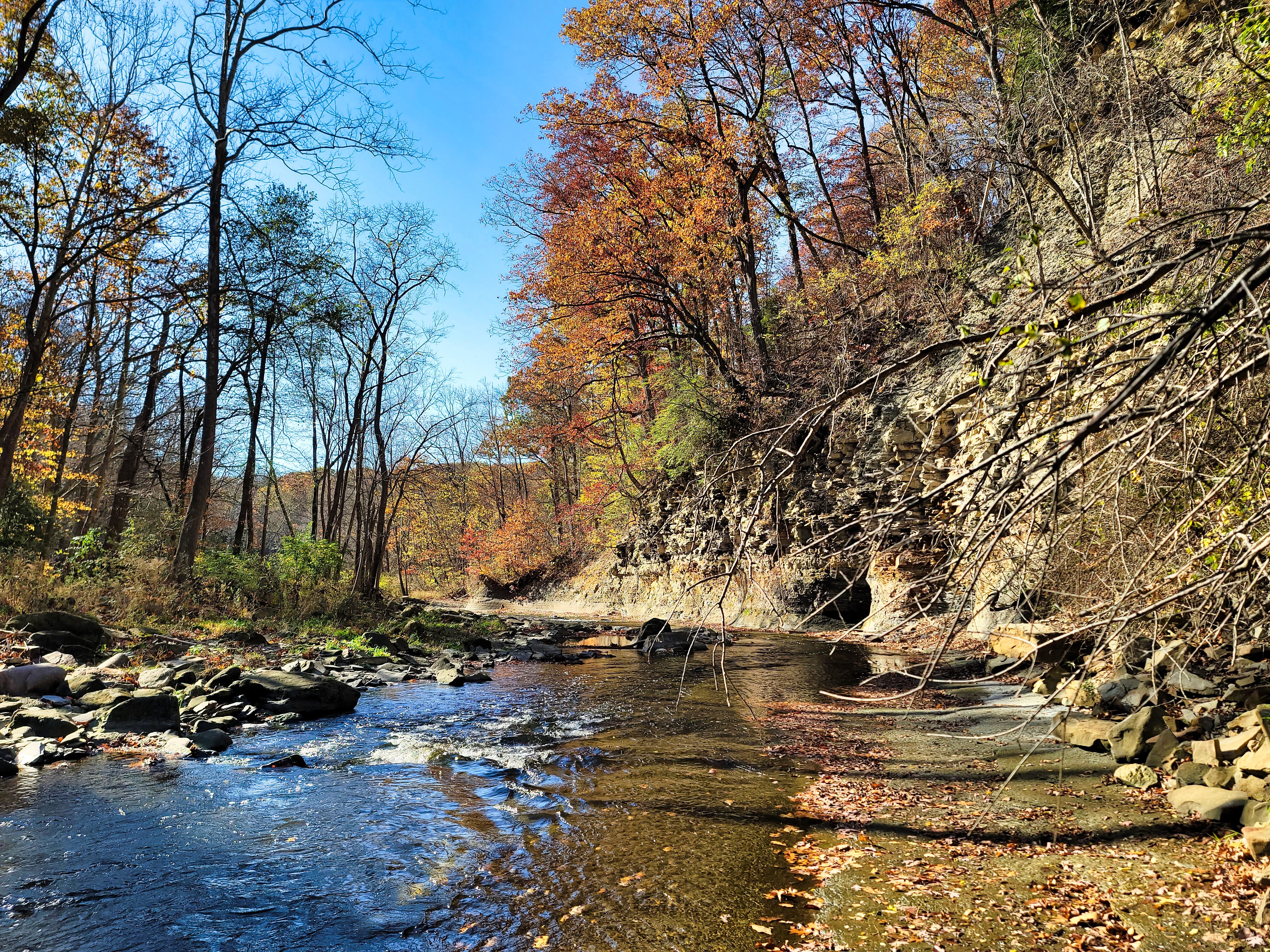 Bedford Reservation