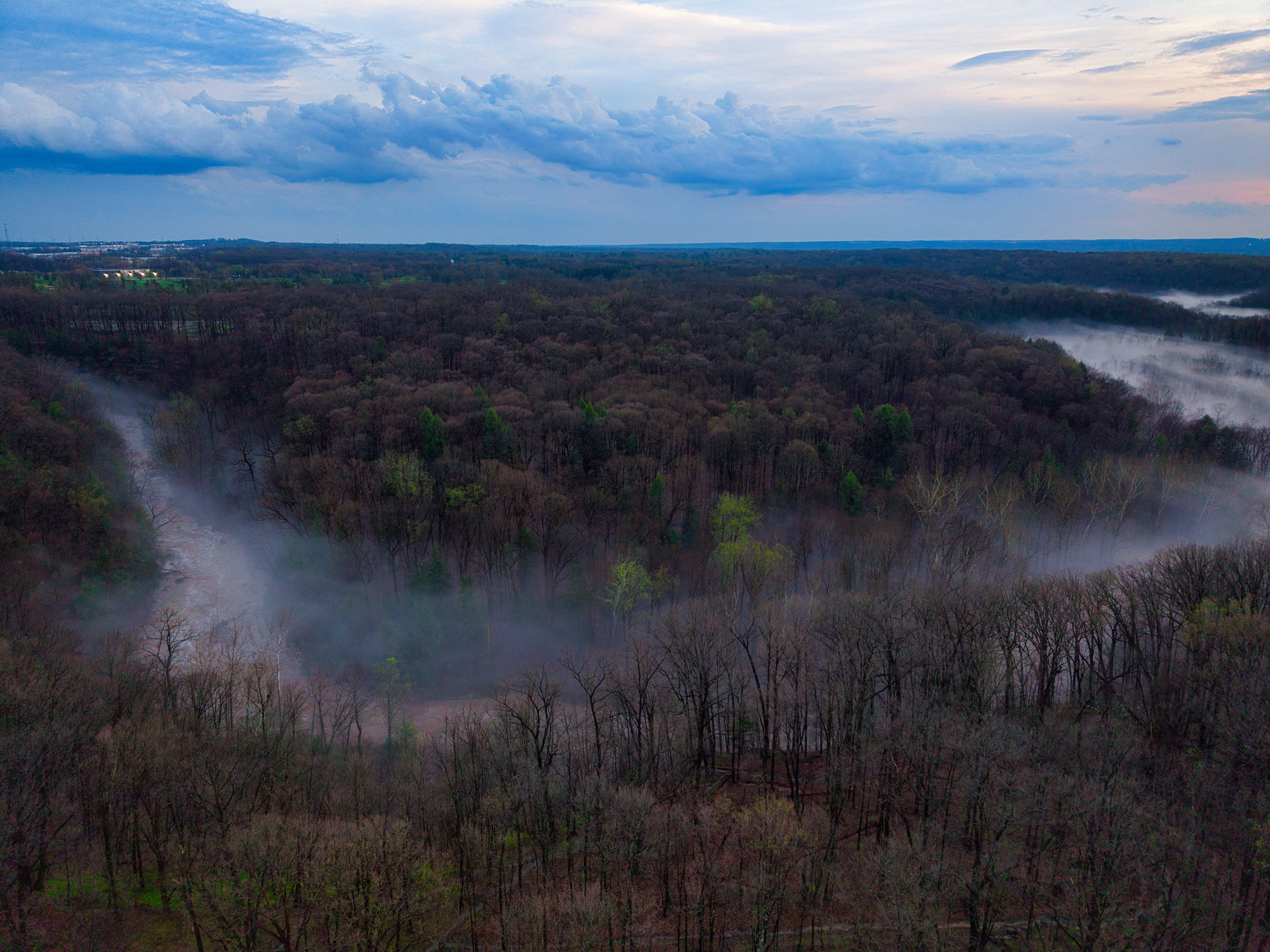 Bedford Reservation