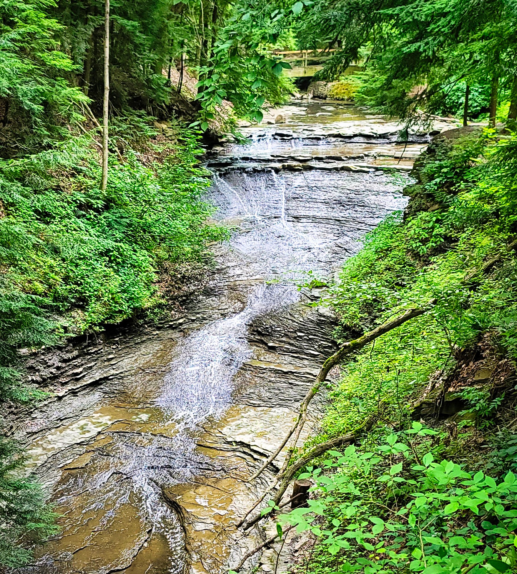 Bedford Reservation