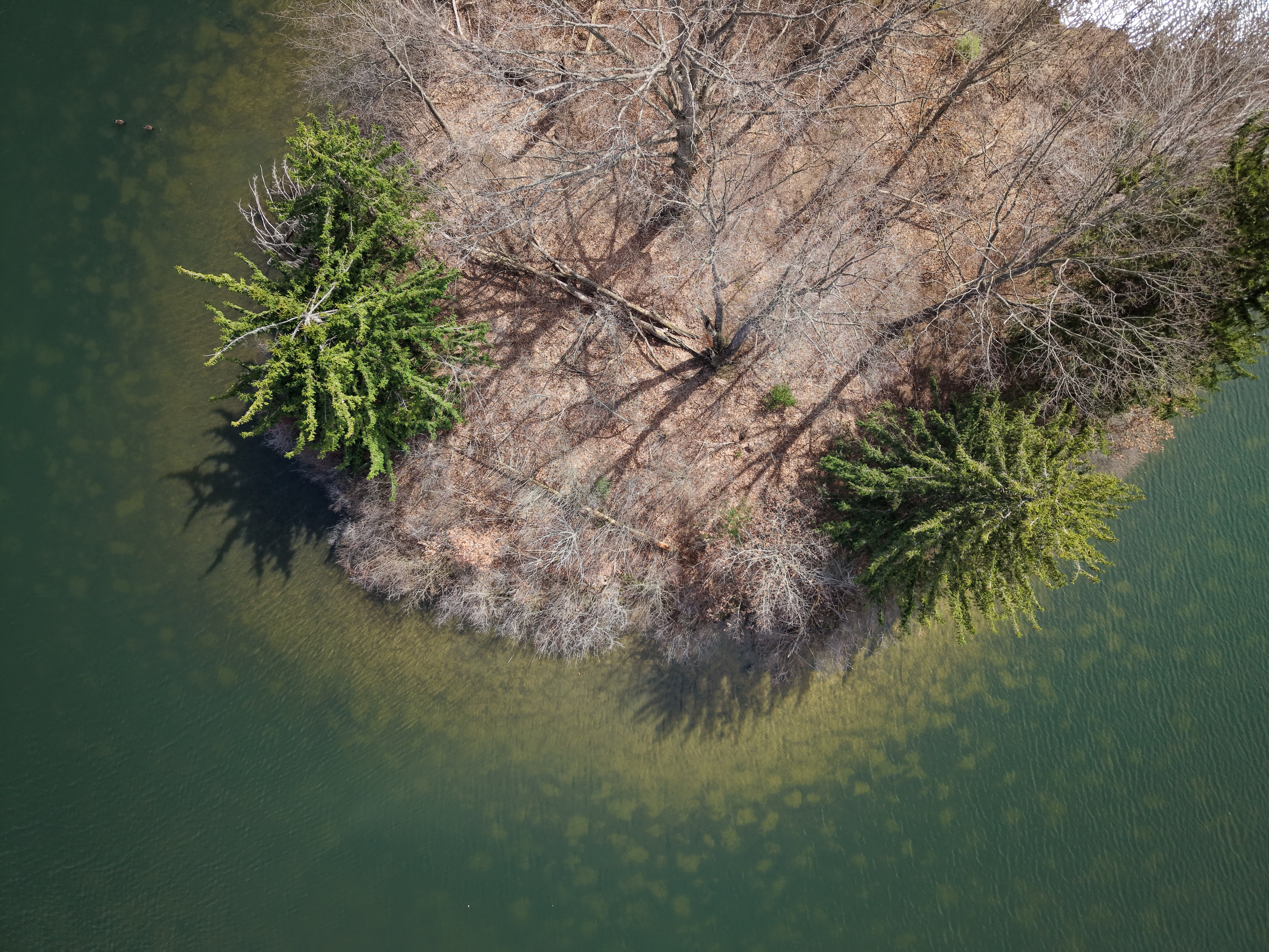 Alum Creek State Park