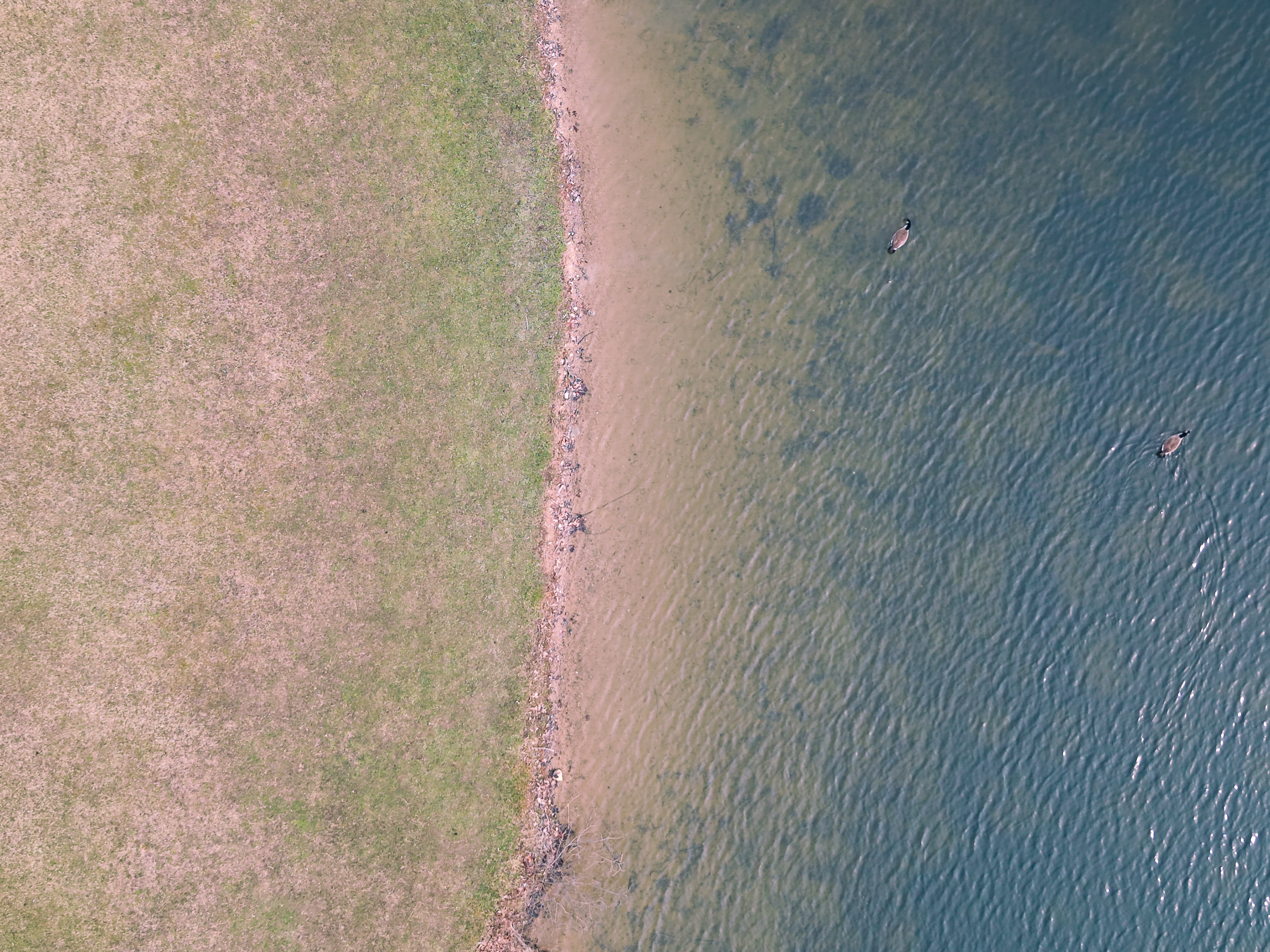Hudson Springs Park