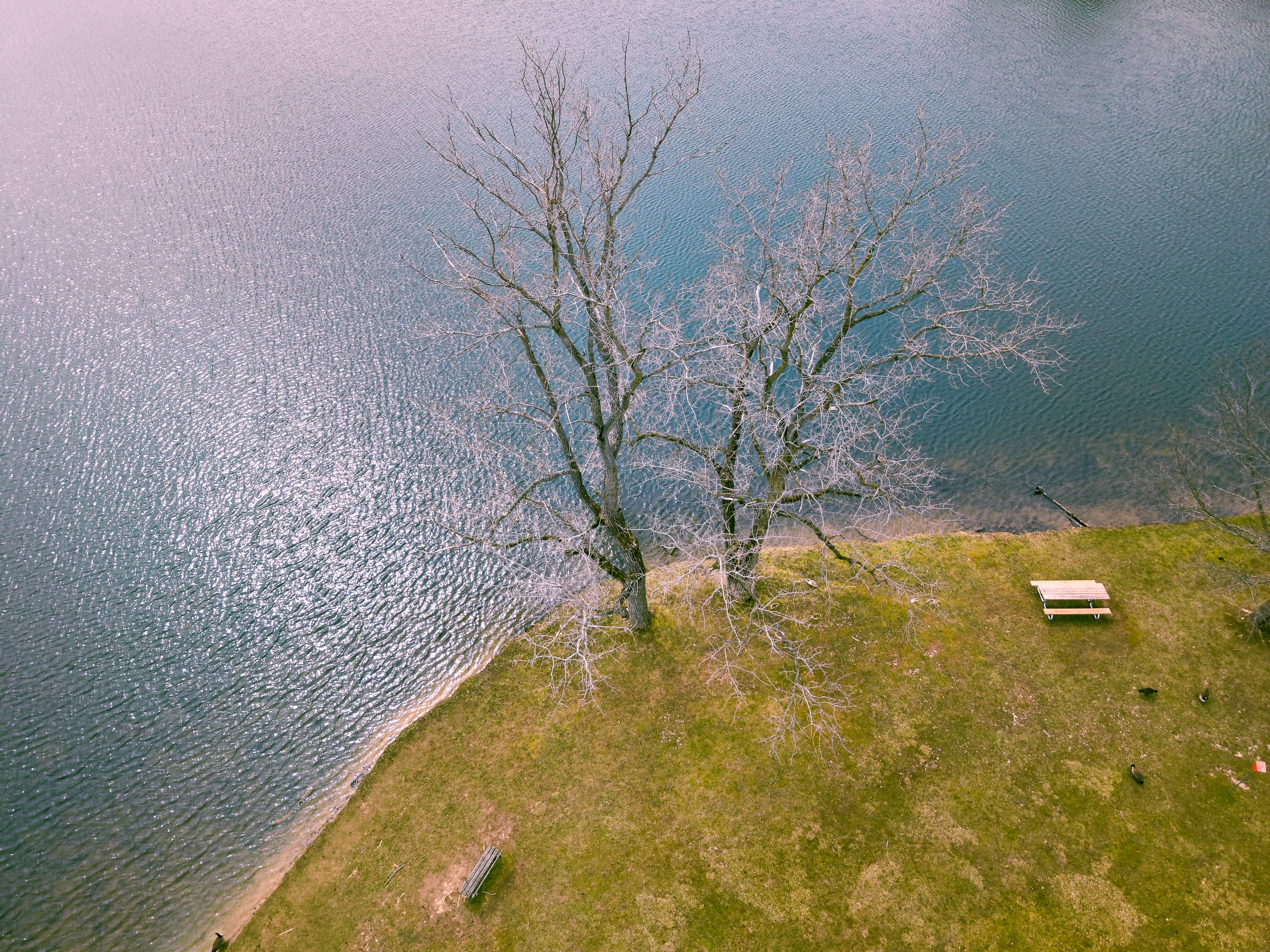 Hudson Springs Park