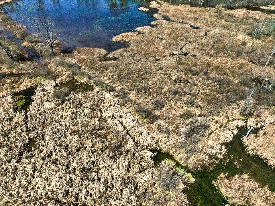 Alum Creek State Park